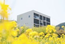 施工実例