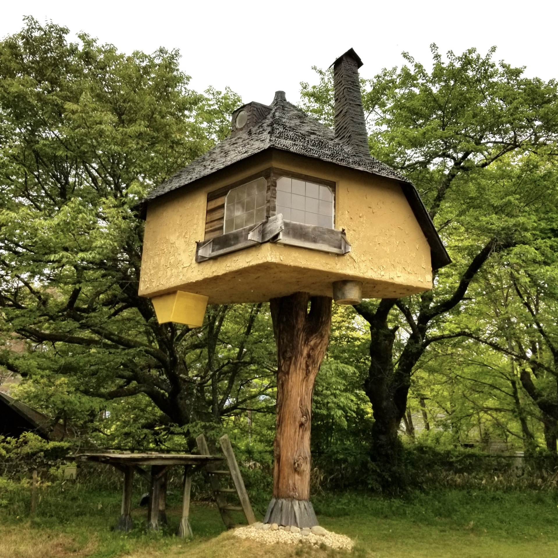 ポイント